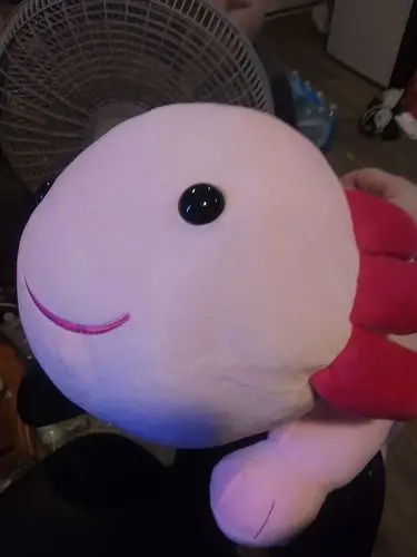 Oversized Axolotl Plush Toys – 4 Colorways And 3 Dimensions 1
