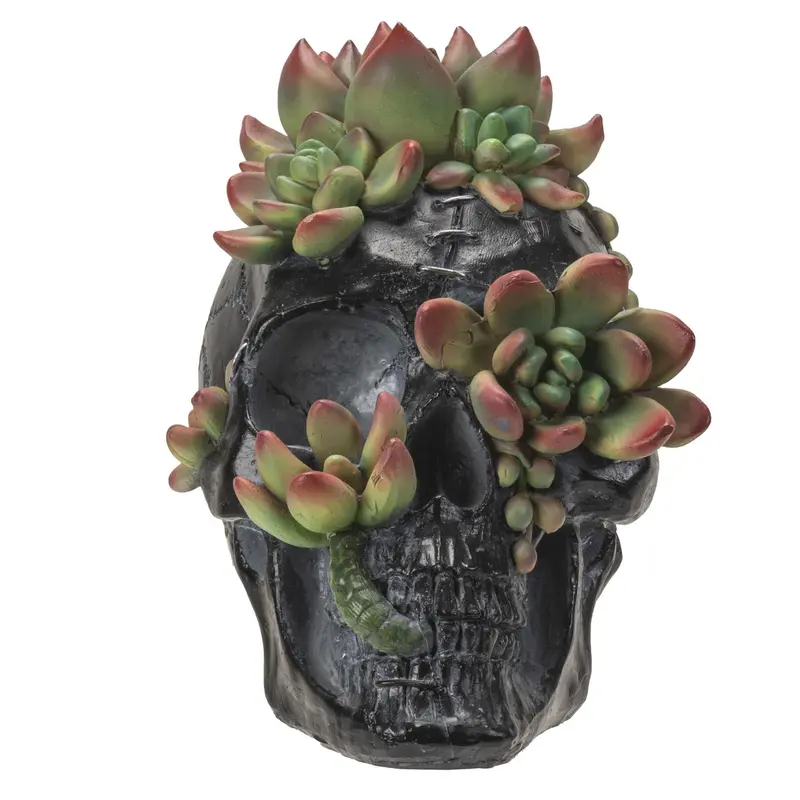 Skull Planter With Succulents – Set Of 4 1