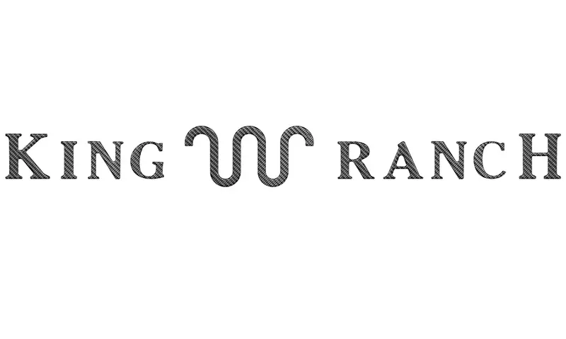 Tailgate Letter Inserts For 2021–2024 Ford F-150 King Ranch Edition 11